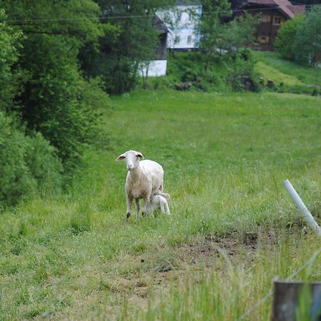 Landgasthof Seyrlberg Reichenau im Mühlkreis Екстериор снимка