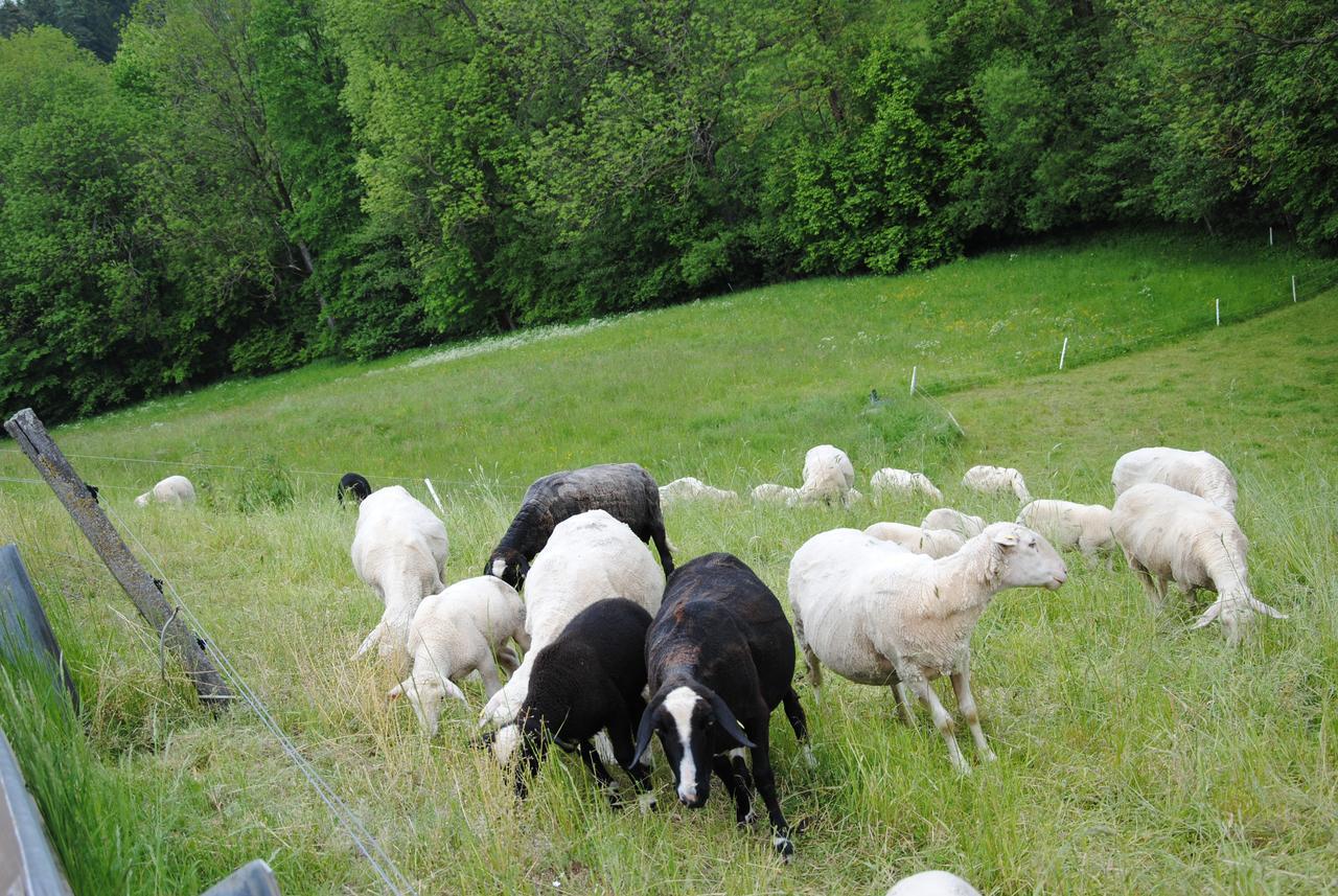 Landgasthof Seyrlberg Reichenau im Mühlkreis Екстериор снимка